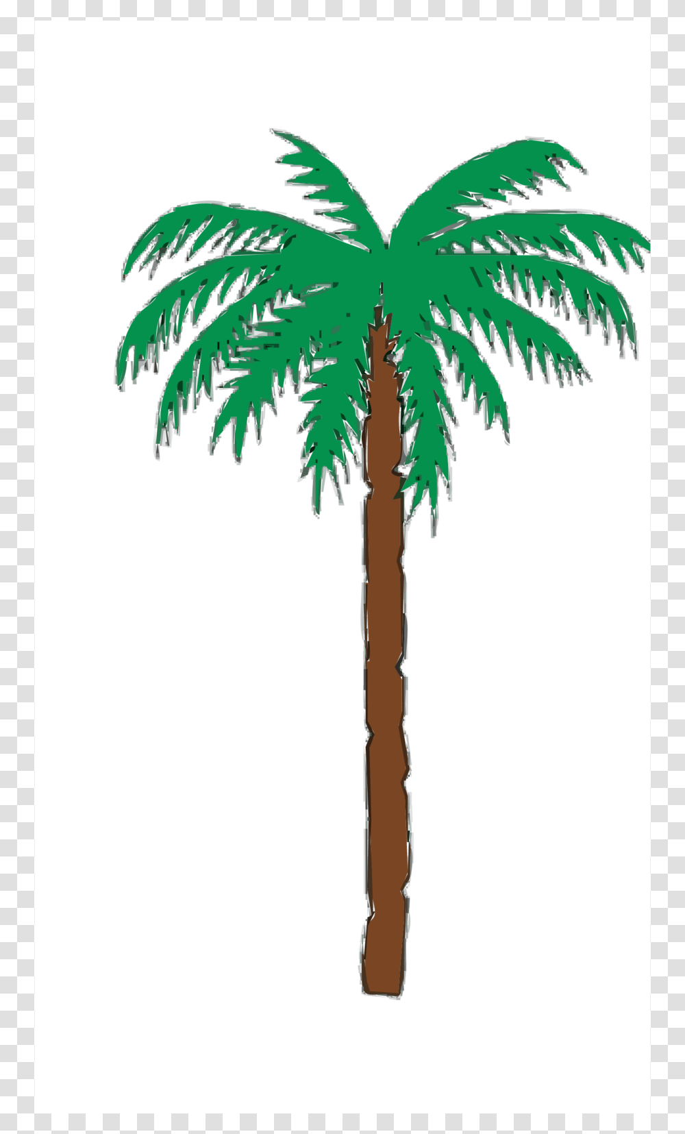 Detail Palm Tree Clipart Png Nomer 56