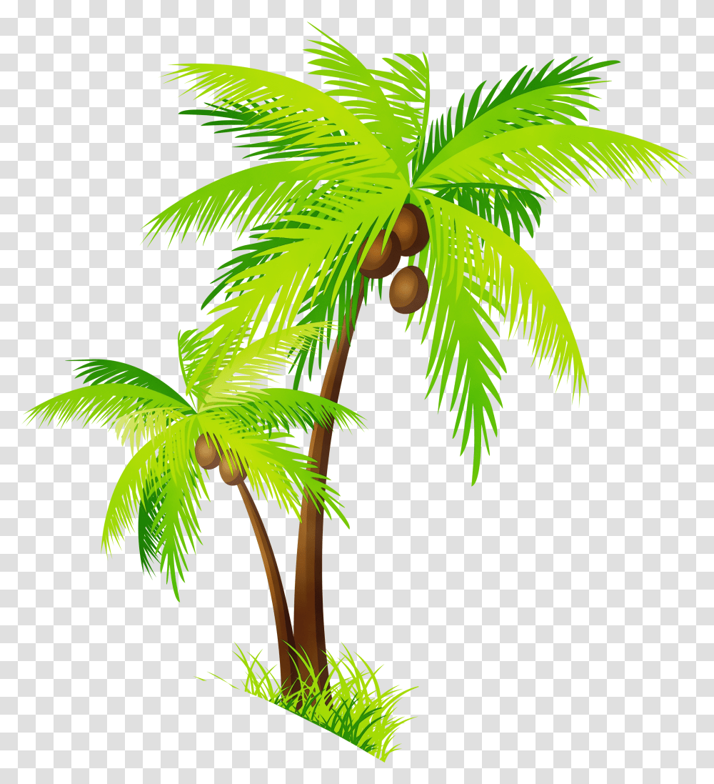 Detail Palm Tree Clipart Transparent Background Nomer 12