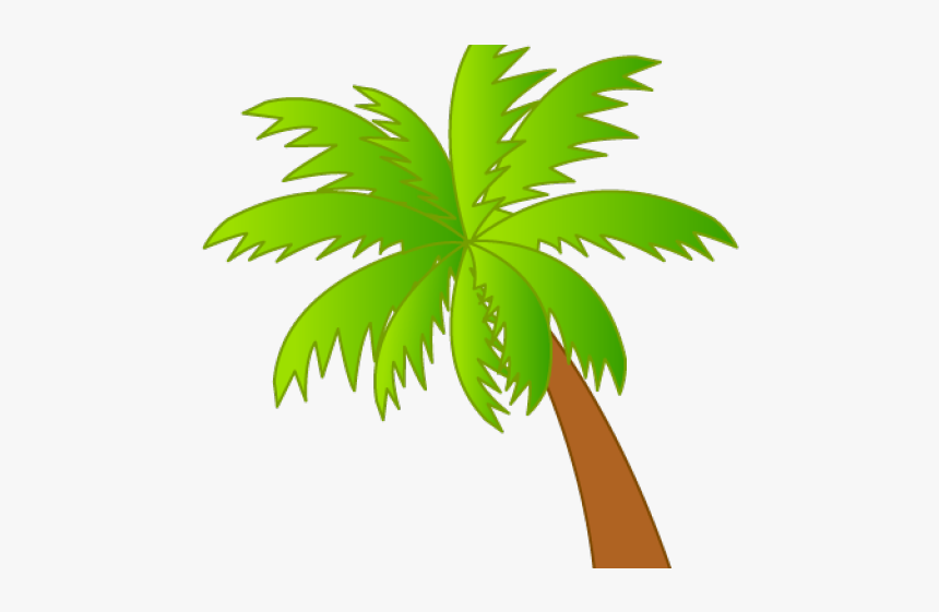 Detail Palm Tree Clipart Transparent Background Nomer 14