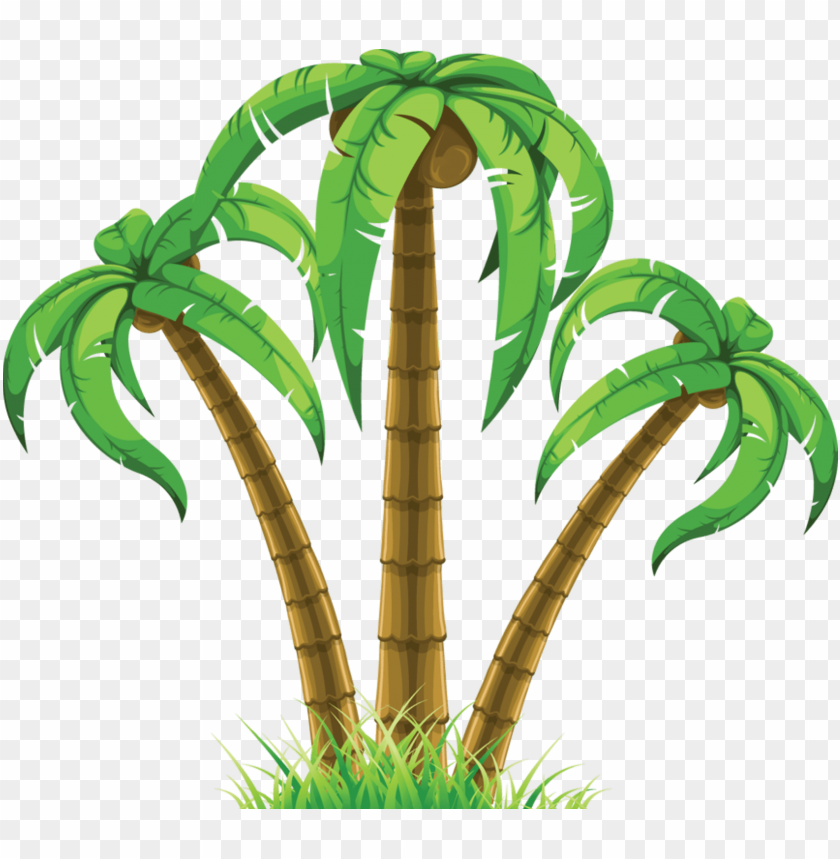 Detail Palm Tree Clipart Transparent Background Nomer 15