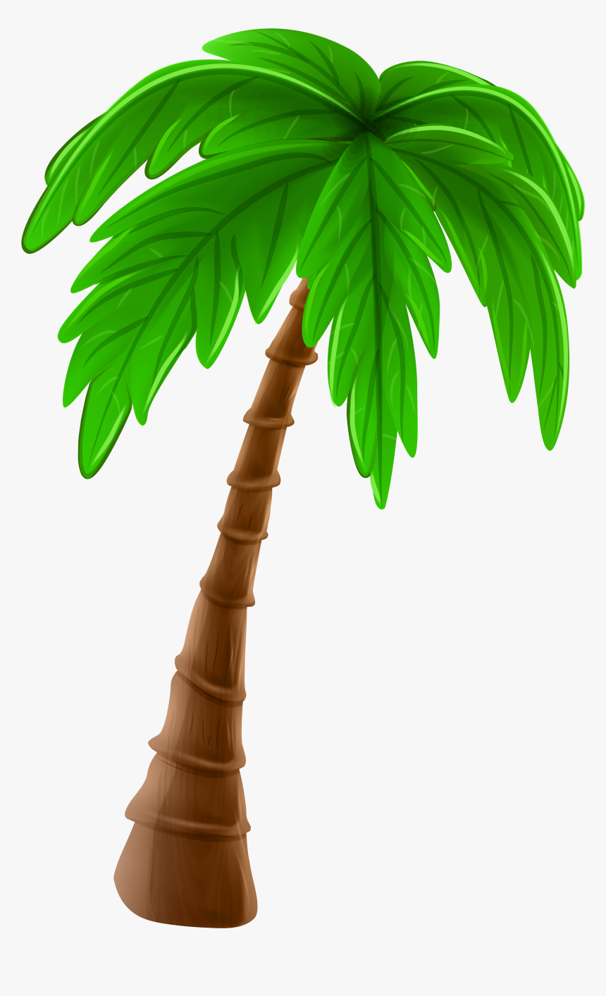 Detail Palm Tree Clipart Transparent Background Nomer 24