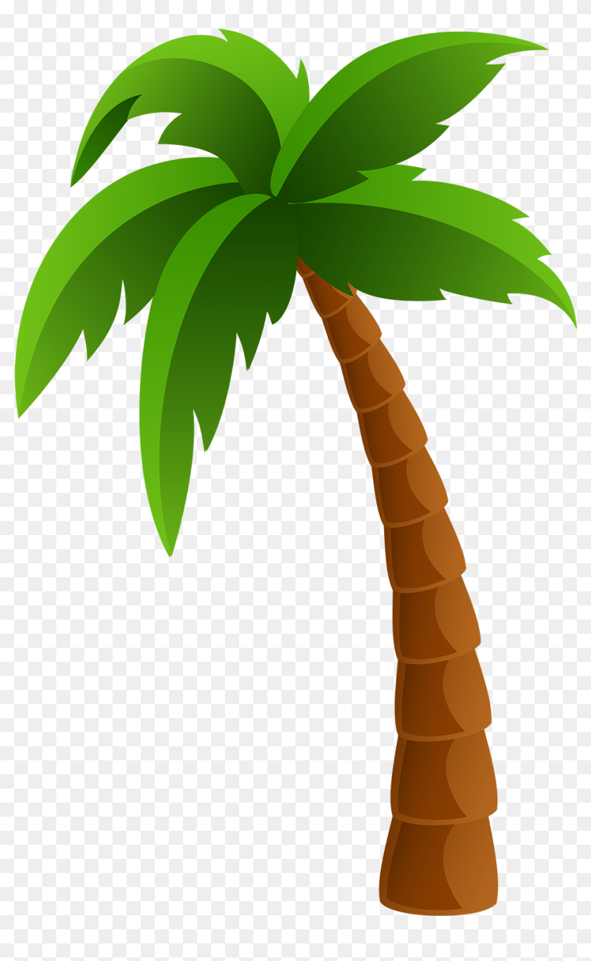 Detail Palm Tree Clipart Transparent Background Nomer 4