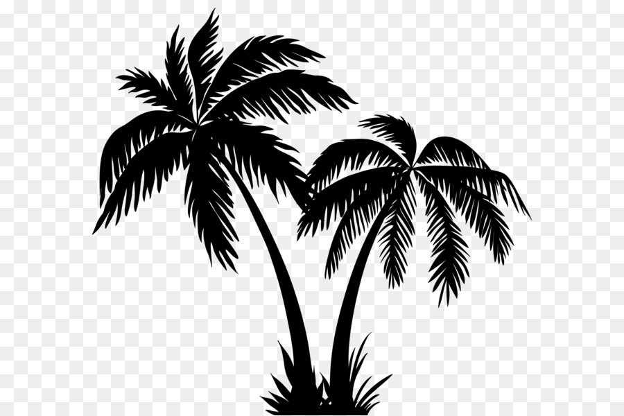 Detail Palm Tree Drawing Png Nomer 12
