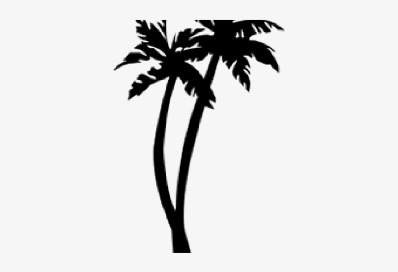 Detail Palm Tree Drawing Png Nomer 13