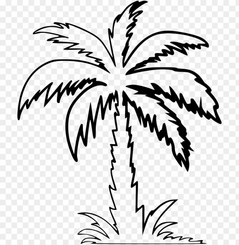 Detail Palm Tree Drawing Png Nomer 34