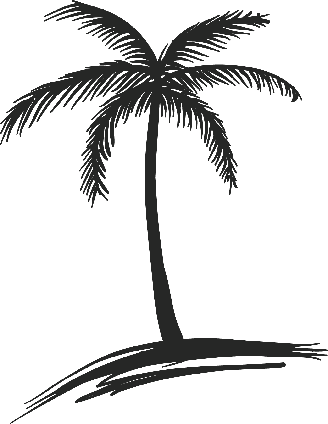 Detail Palm Tree Drawing Png Nomer 9