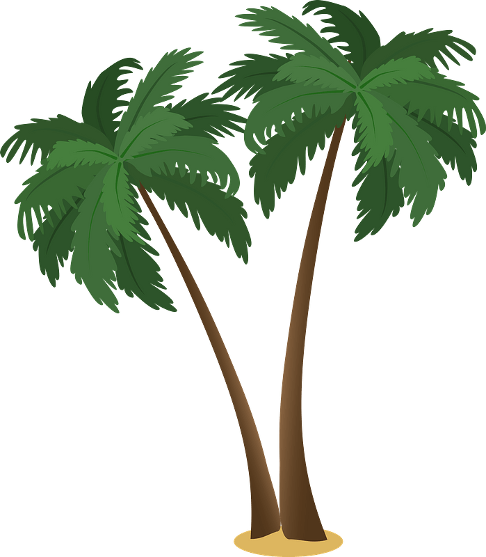 Detail Palm Tree Free Clipart Nomer 23