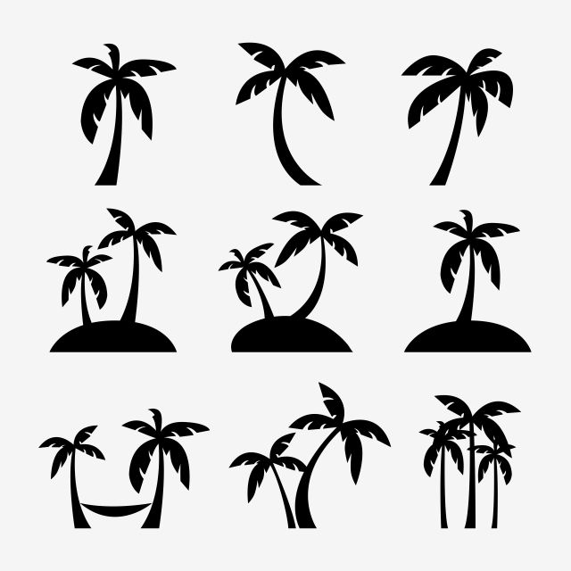 Detail Palm Tree Icon Png Nomer 51