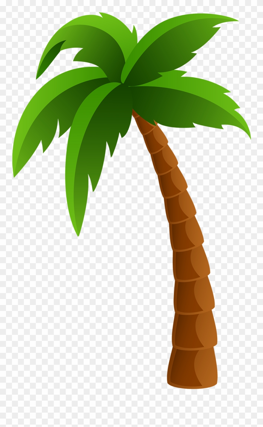 Detail Palm Tree Icon Png Nomer 7