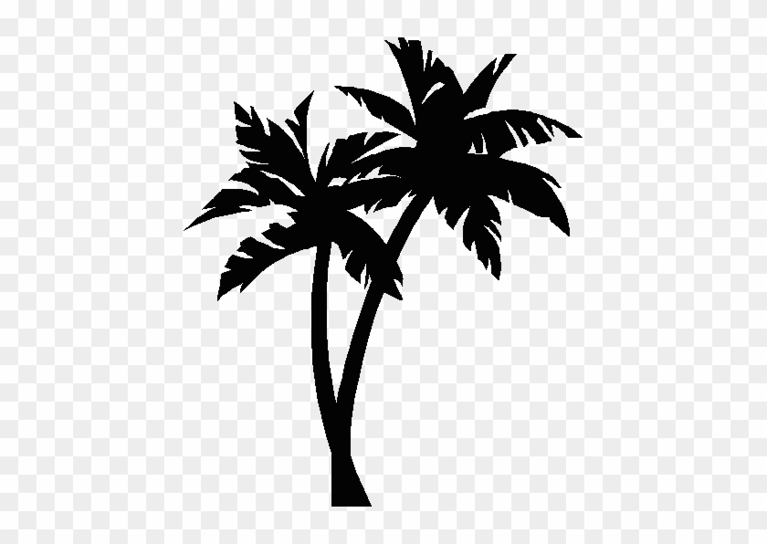 Detail Palm Tree Image Free Nomer 28