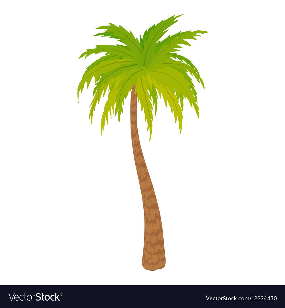 Detail Palm Tree Image Free Nomer 33