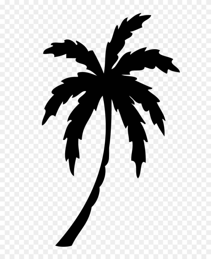 Detail Palm Tree Image Free Nomer 38