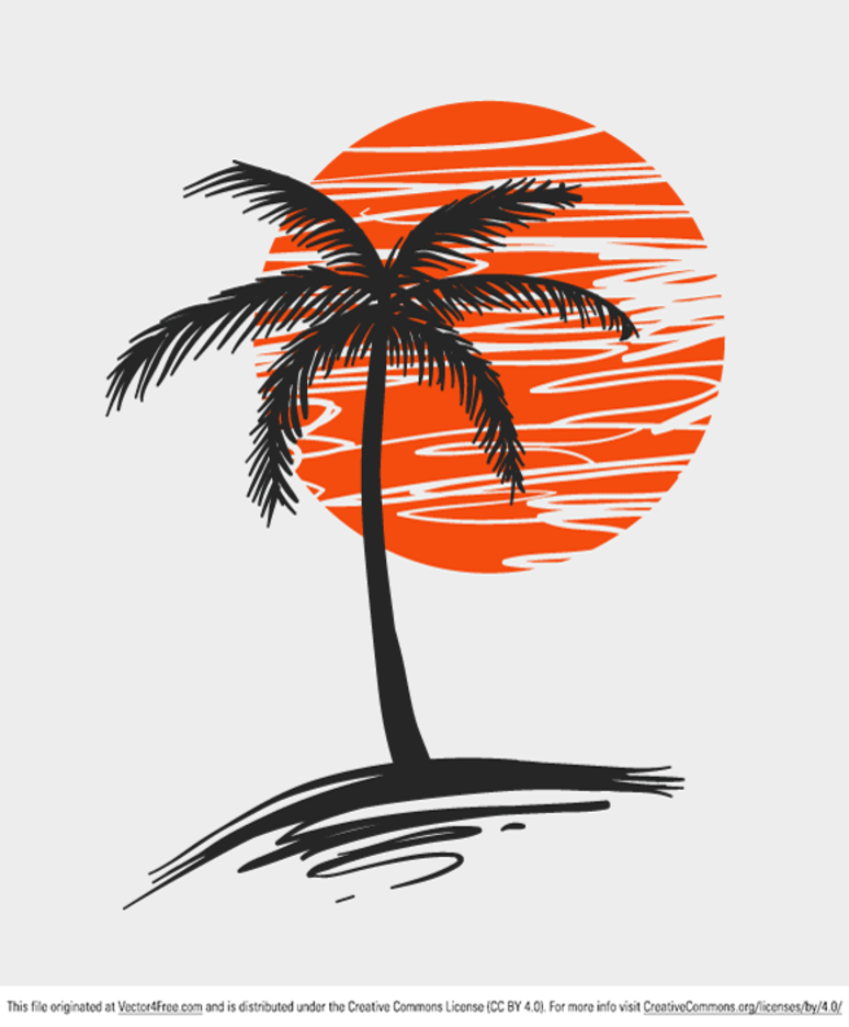 Detail Palm Tree Image Free Nomer 42