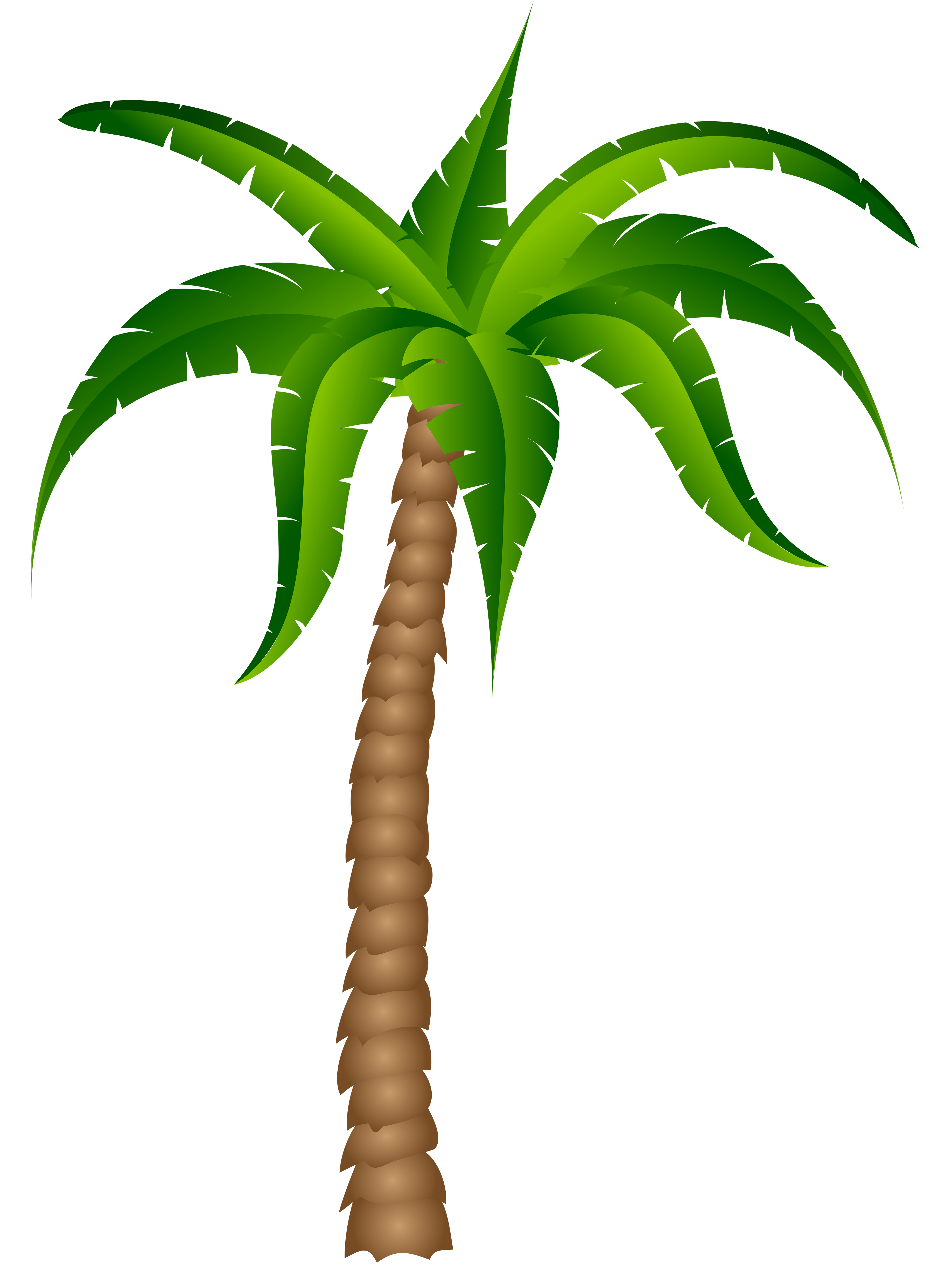 Detail Palm Tree Images Clip Art Nomer 16