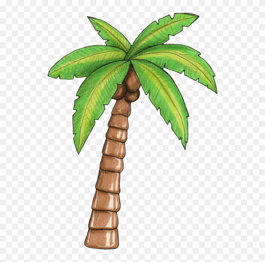 Detail Palm Tree Images Clip Art Nomer 17