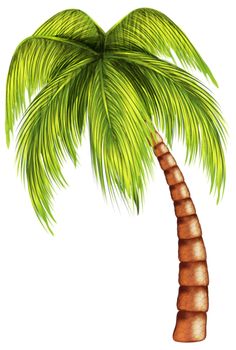 Detail Palm Tree Images Clip Art Nomer 20