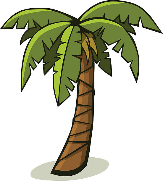 Detail Palm Tree Images Clip Art Nomer 28