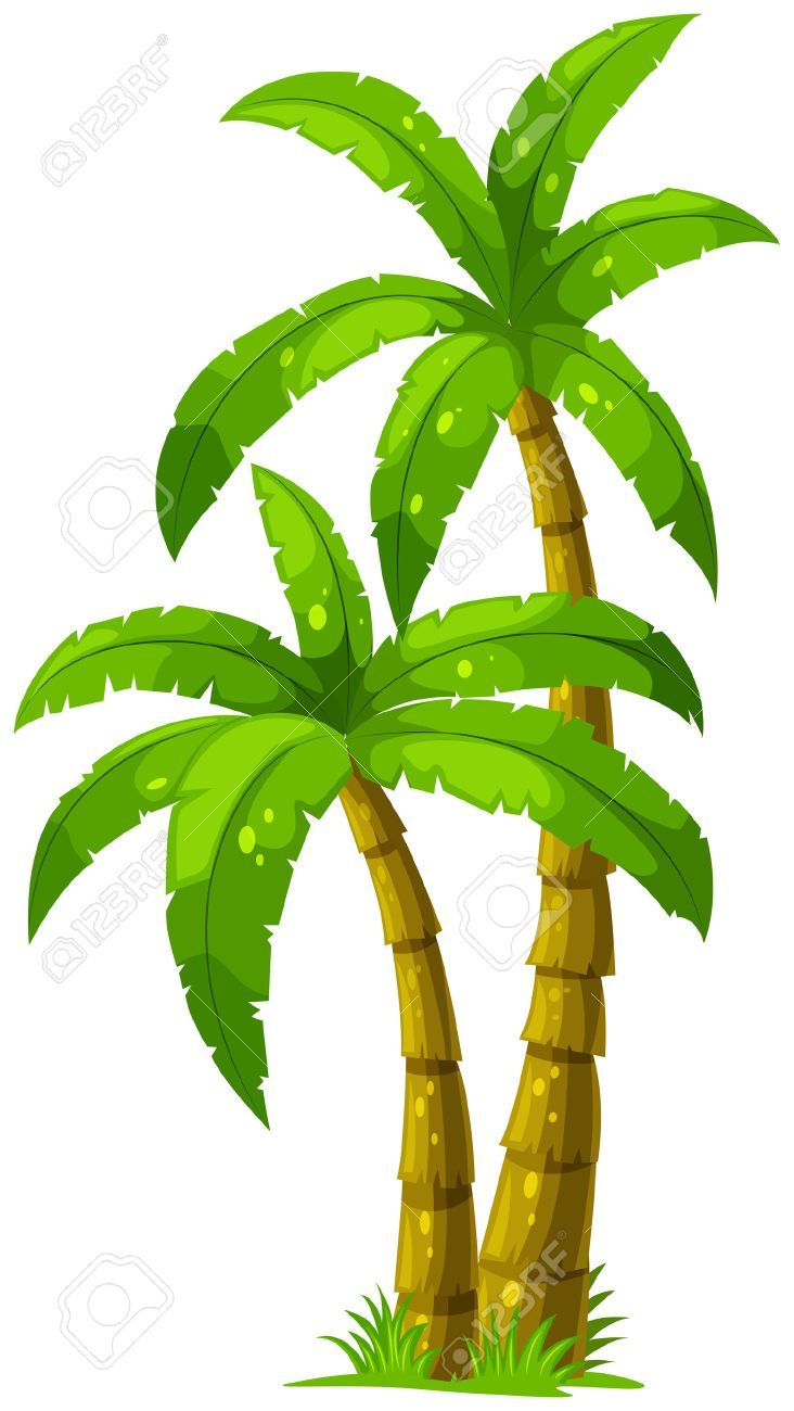 Detail Palm Tree Images Clip Art Nomer 47
