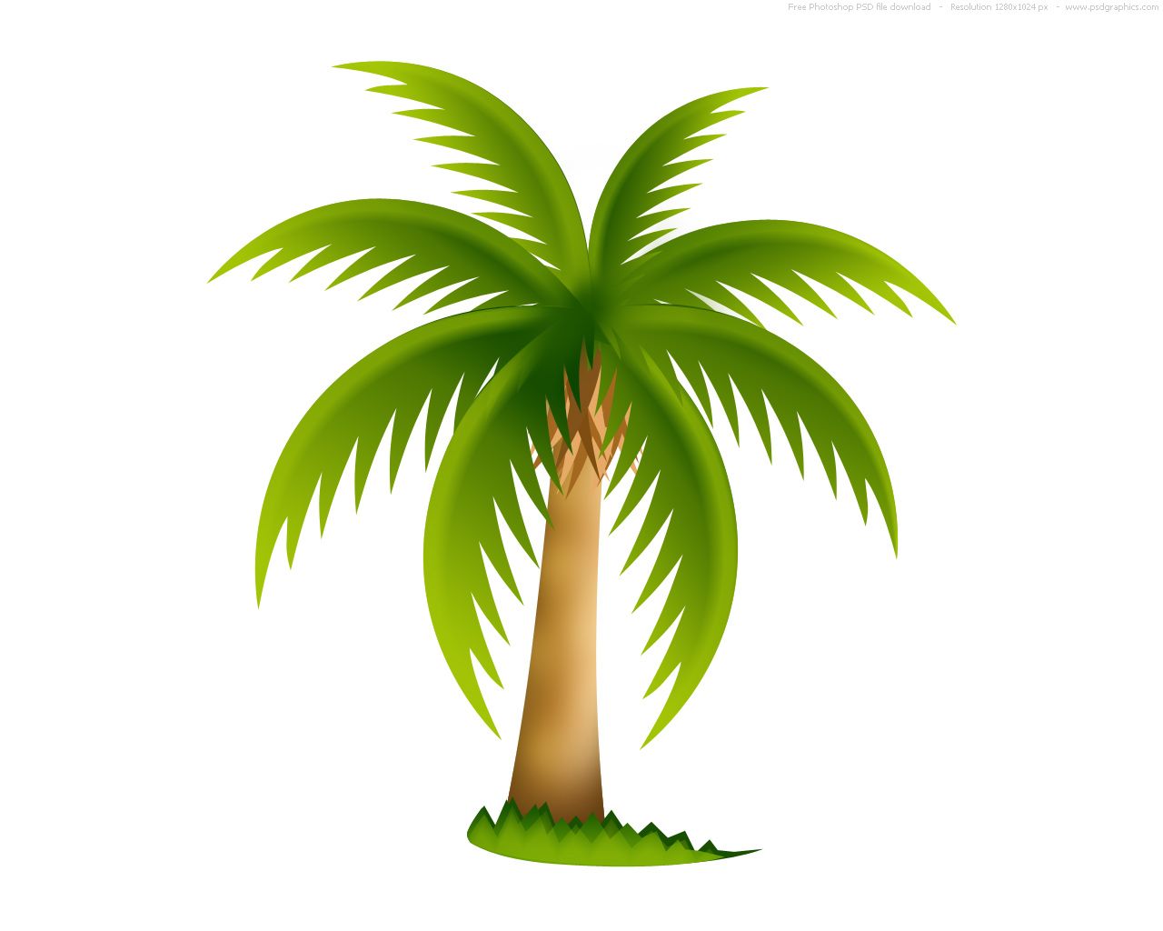 Detail Palm Tree Images Free Nomer 19