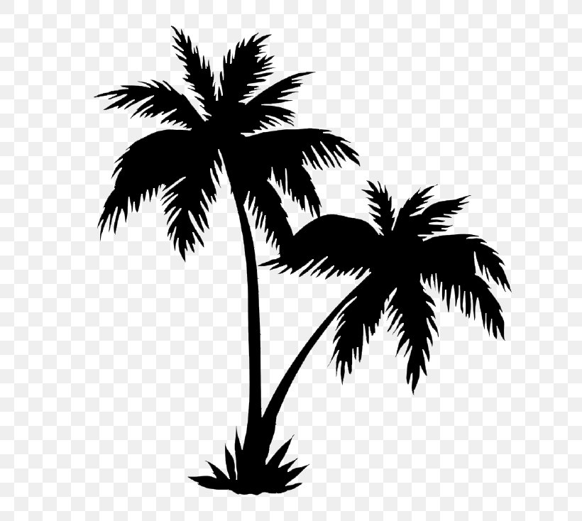 Detail Palm Tree Images Free Nomer 21