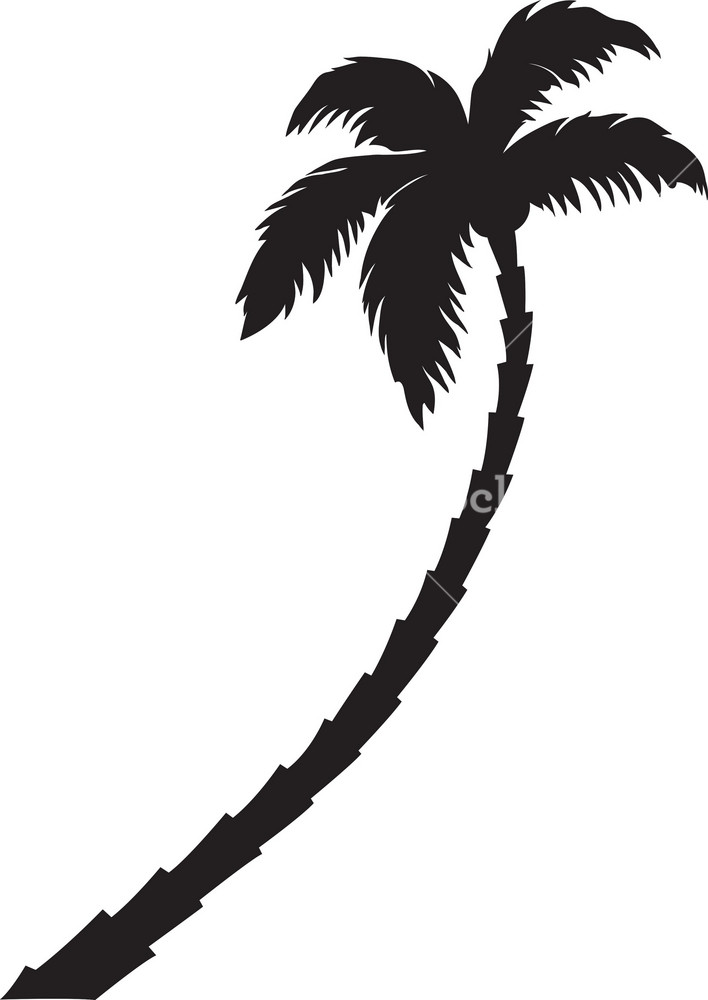 Detail Palm Tree Images Free Nomer 30