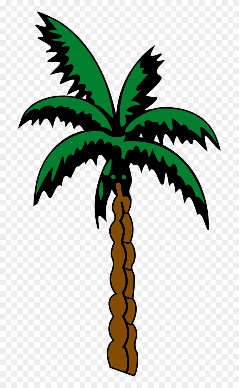 Detail Palm Tree Images Free Nomer 32