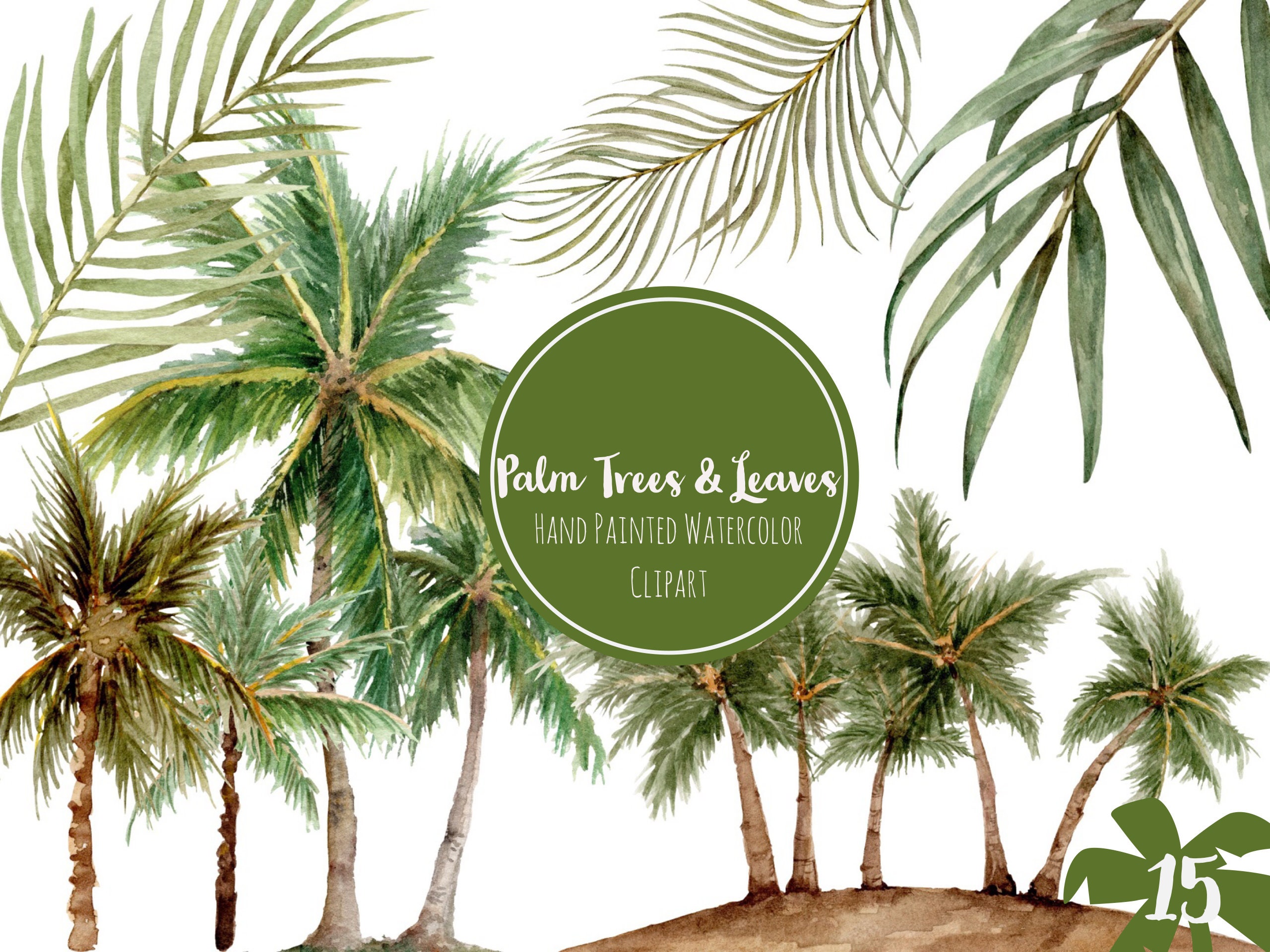 Detail Palm Tree Leaf Clipart Nomer 50