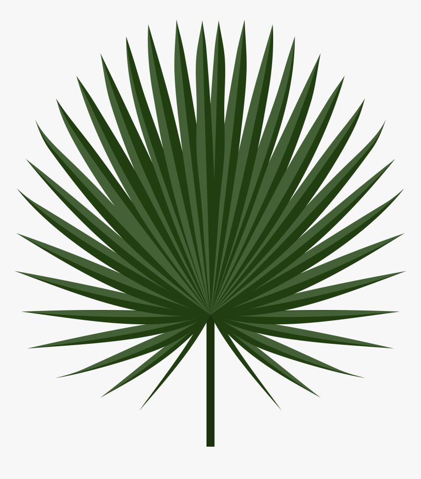 Detail Palm Tree Leaf Clipart Nomer 51