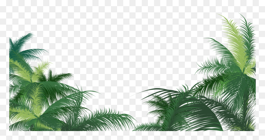 Detail Palm Tree Leaf Png Nomer 53