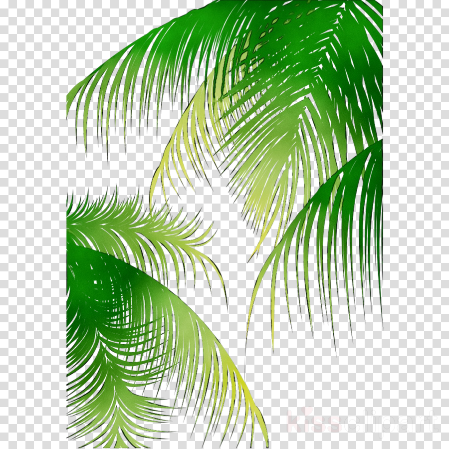 Detail Palm Tree Leaves Clipart Nomer 28