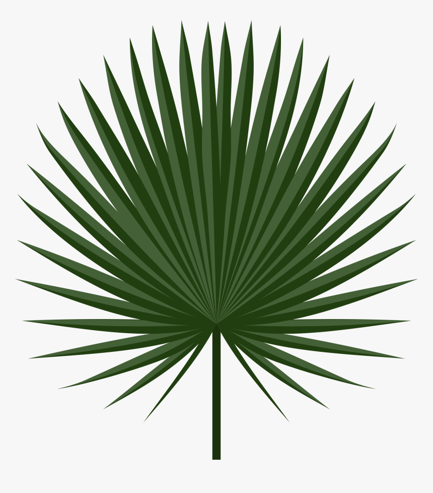 Detail Palm Tree Leaves Clipart Nomer 32