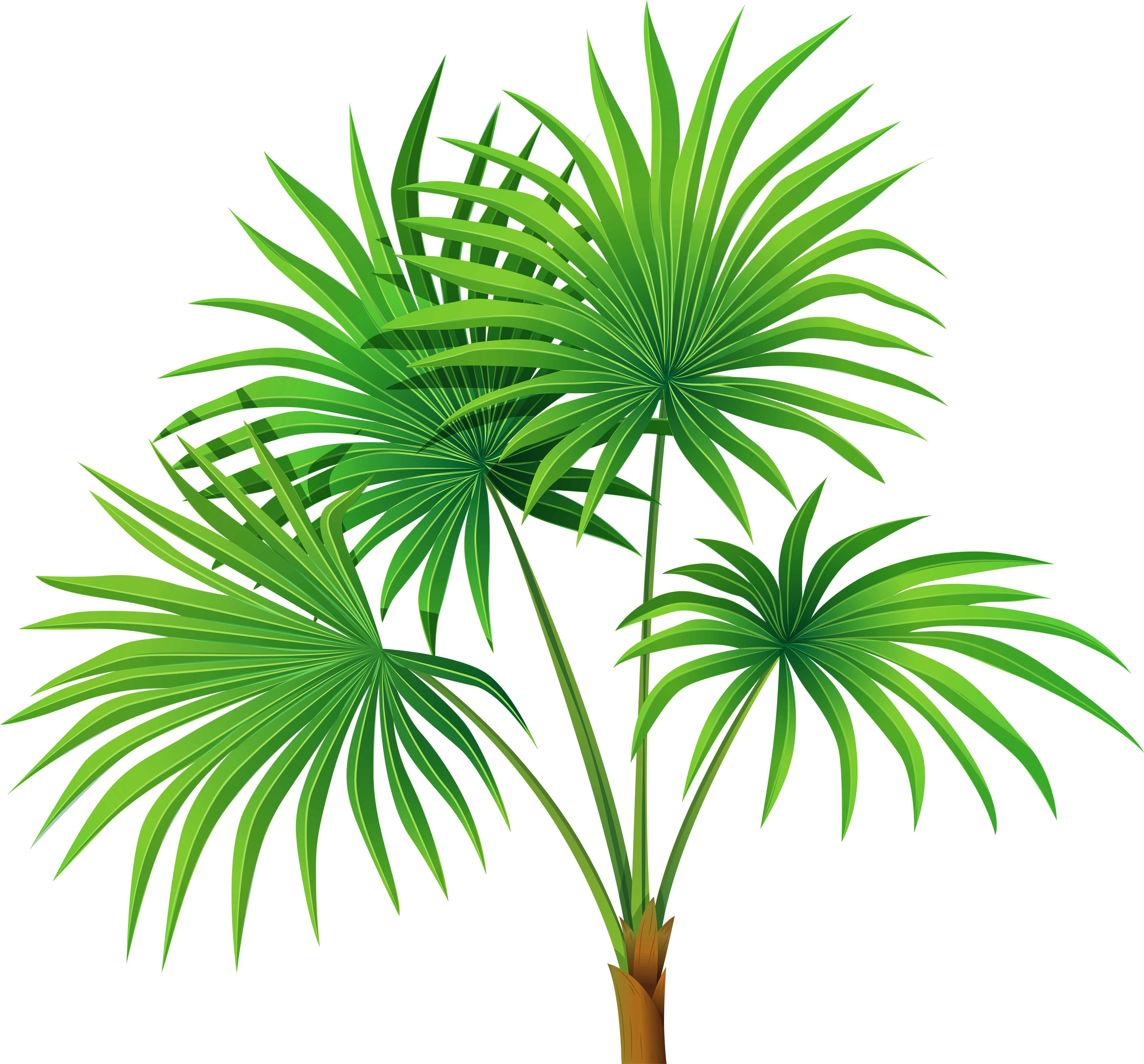 Detail Palm Tree Leaves Clipart Nomer 34