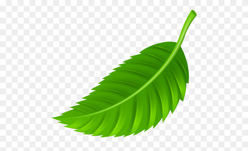 Detail Palm Tree Leaves Clipart Nomer 36