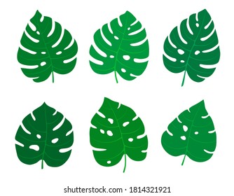 Detail Palm Tree Leaves Clipart Nomer 50