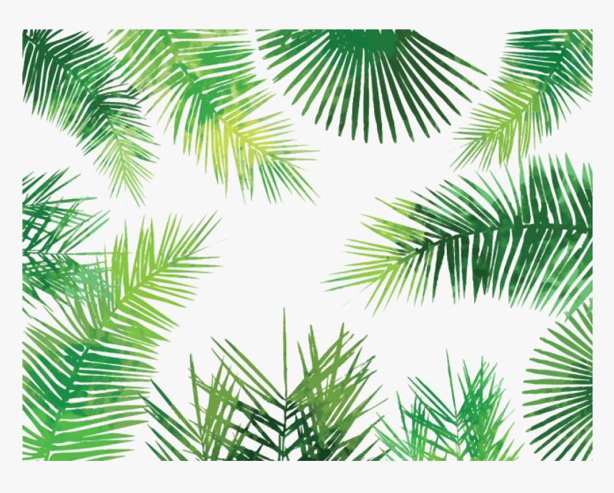 Detail Palm Tree Leaves Png Nomer 36