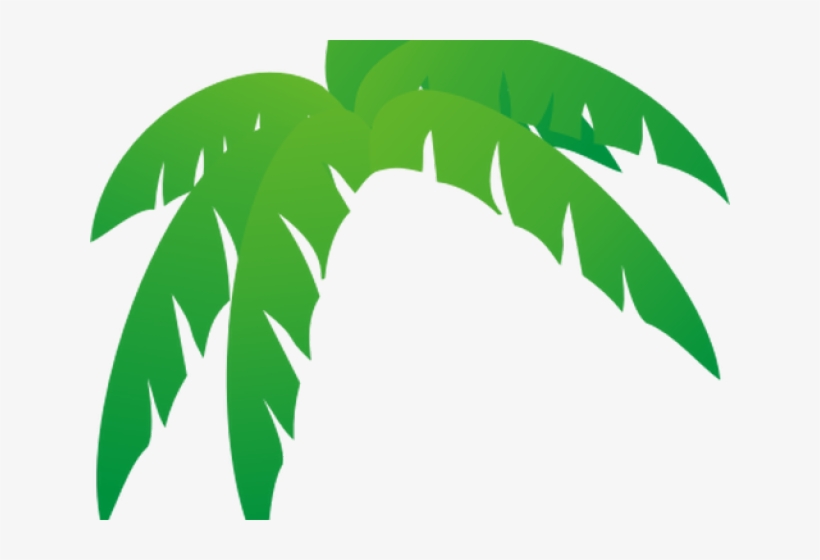 Detail Palm Tree Leaves Png Nomer 56