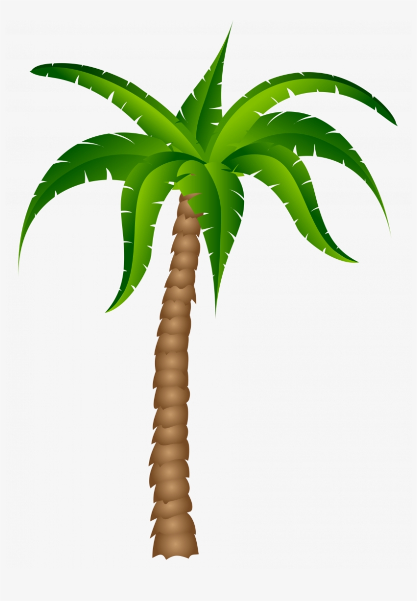Detail Palm Tree No Background Nomer 8