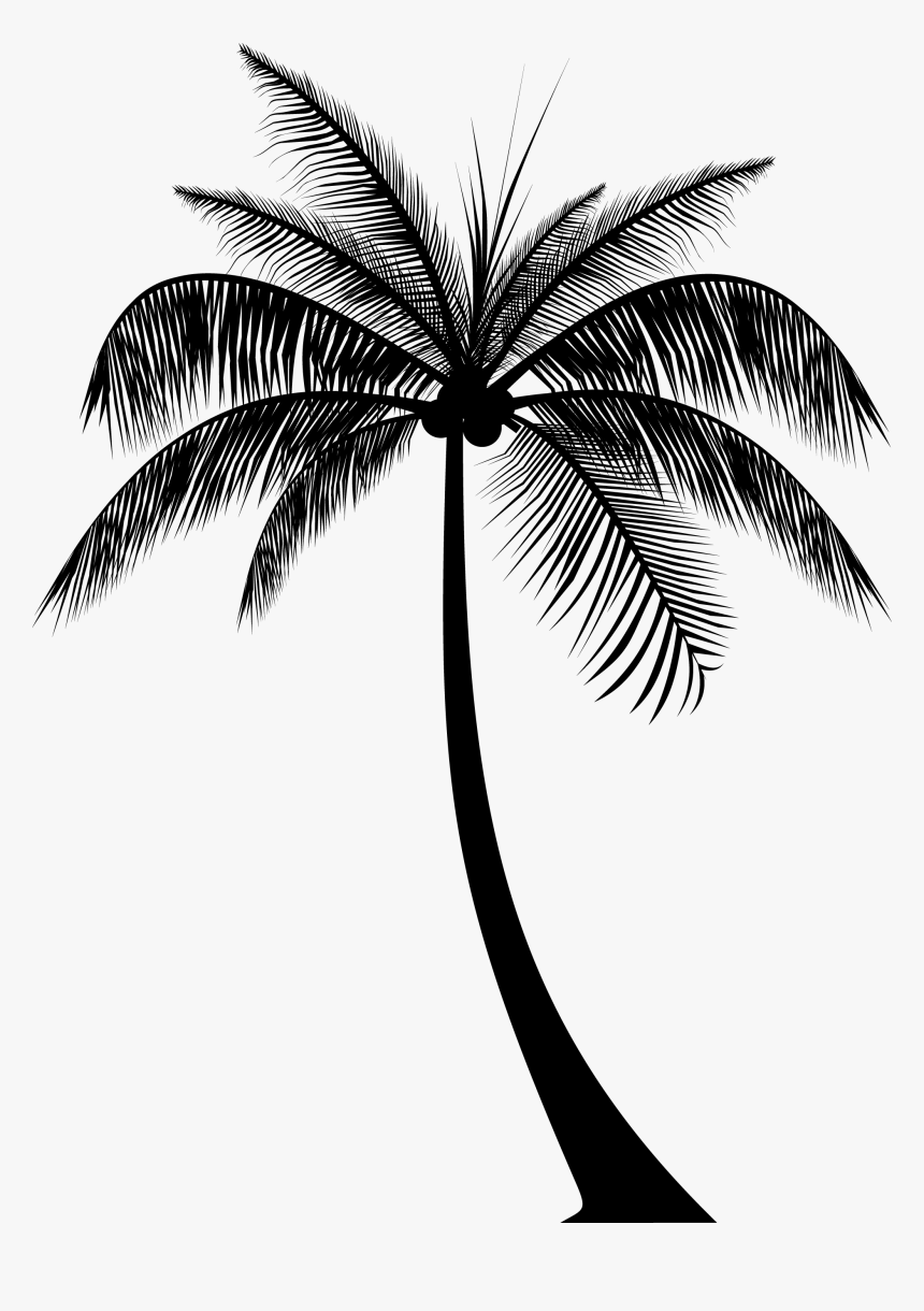 Palm Tree Outline Png - KibrisPDR