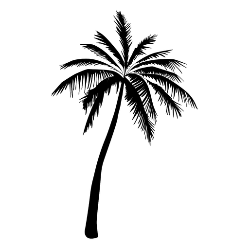 Detail Palm Tree Outline Png Nomer 10