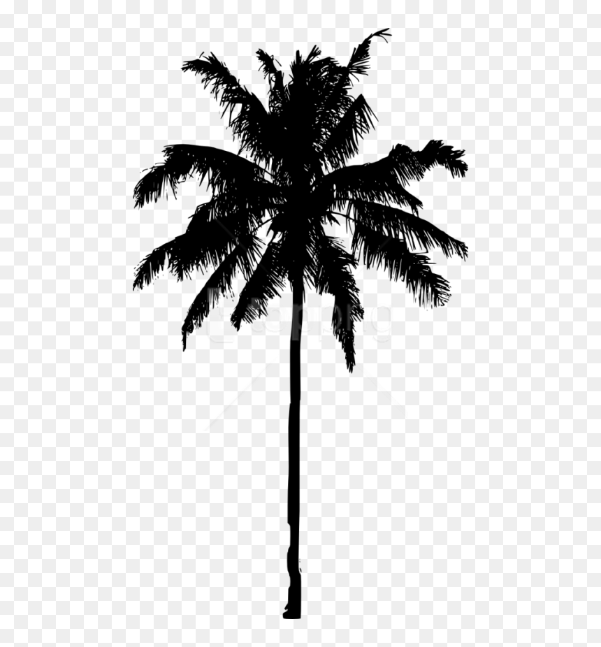 Detail Palm Tree Outline Png Nomer 11