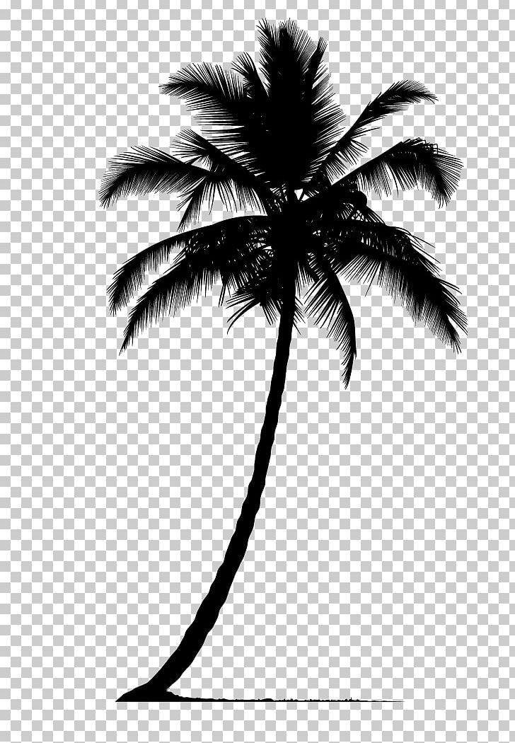 Detail Palm Tree Outline Png Nomer 13