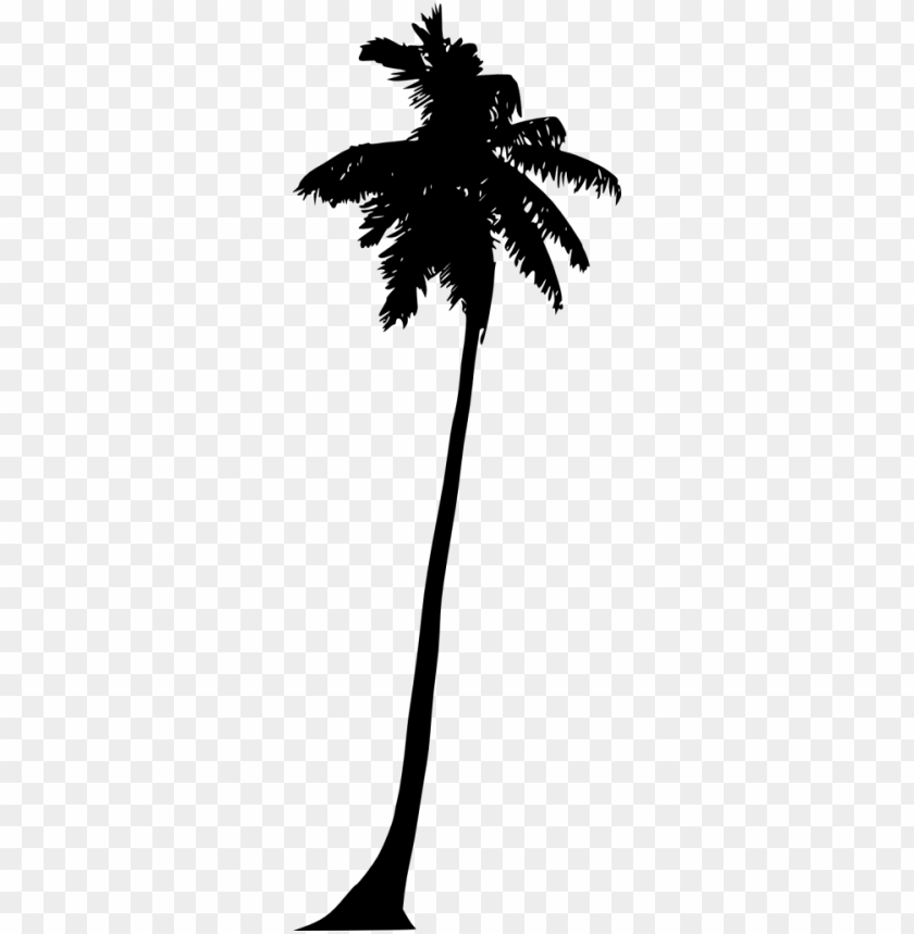Detail Palm Tree Outline Png Nomer 15