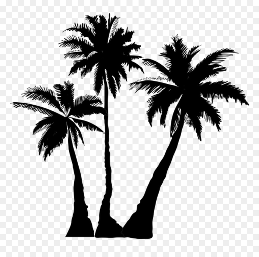 Detail Palm Tree Outline Png Nomer 16
