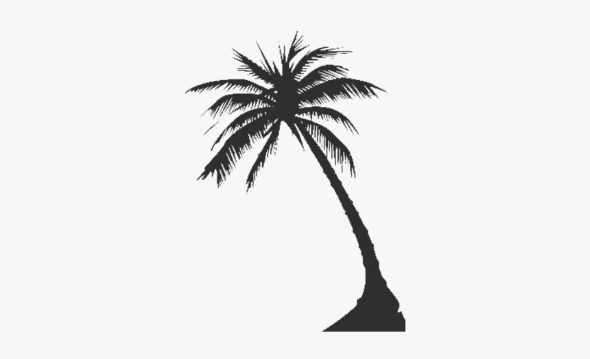 Detail Palm Tree Outline Png Nomer 20