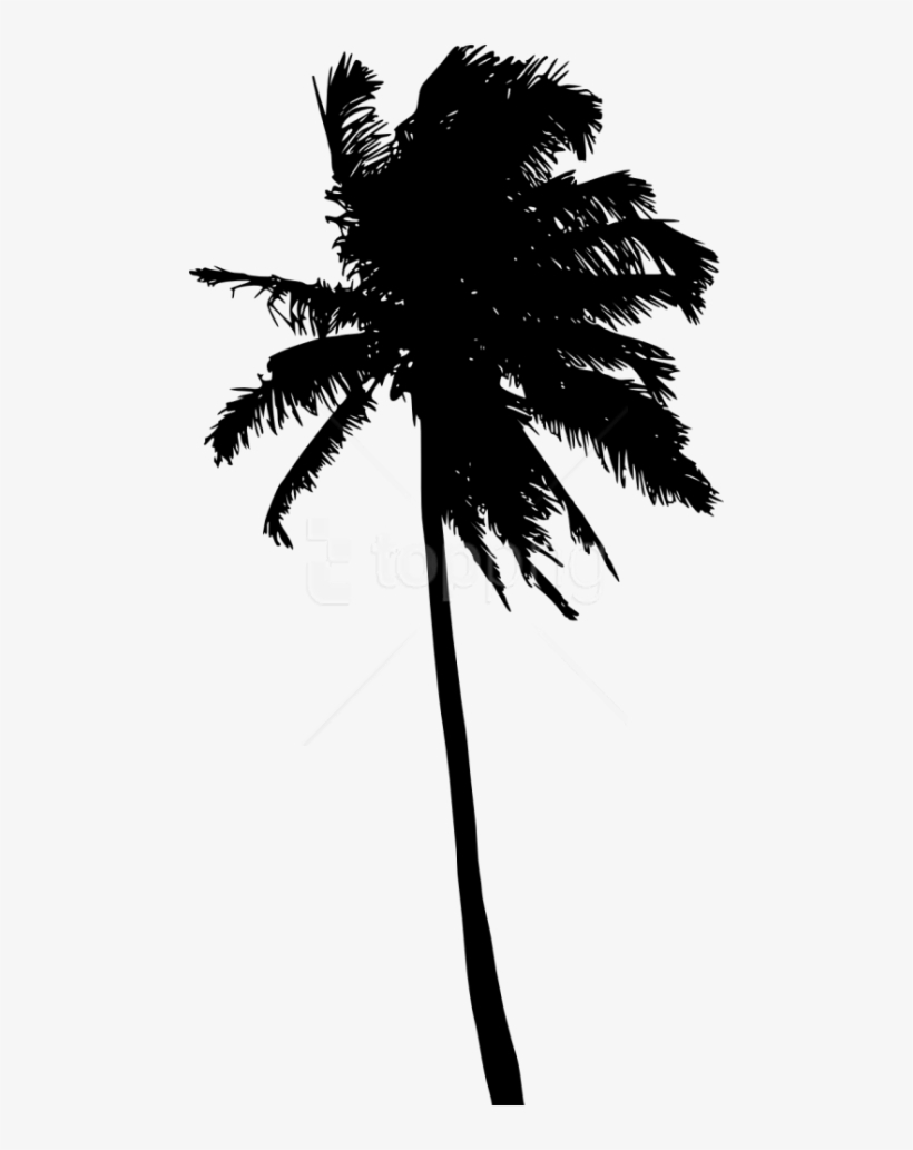 Detail Palm Tree Outline Png Nomer 21
