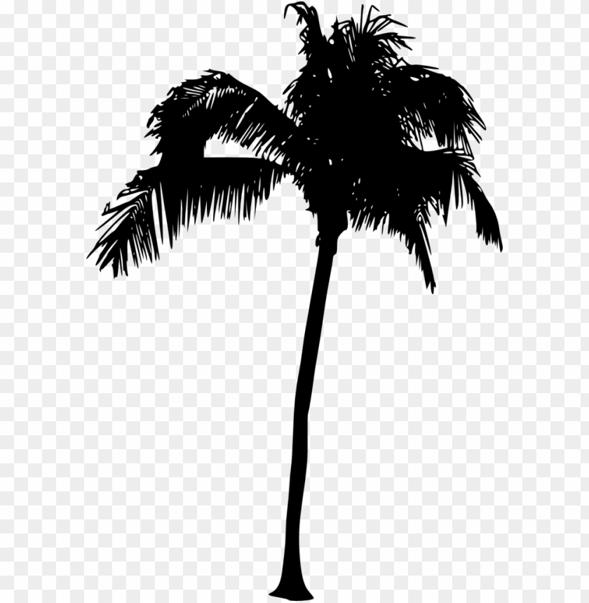 Detail Palm Tree Outline Png Nomer 25