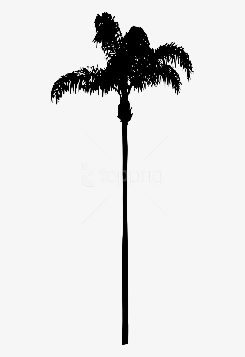 Detail Palm Tree Outline Png Nomer 26