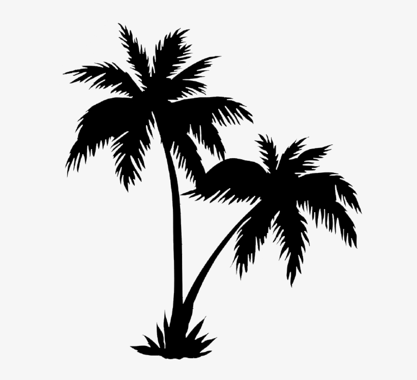 Detail Palm Tree Outline Png Nomer 4