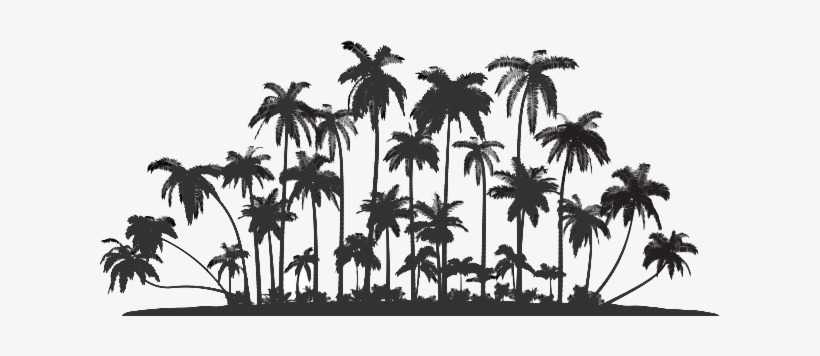 Detail Palm Tree Outline Png Nomer 29