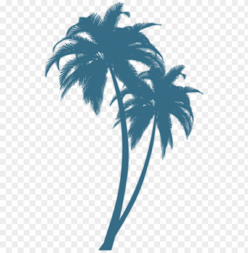Detail Palm Tree Outline Png Nomer 32